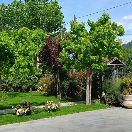 公寓 La Rosa